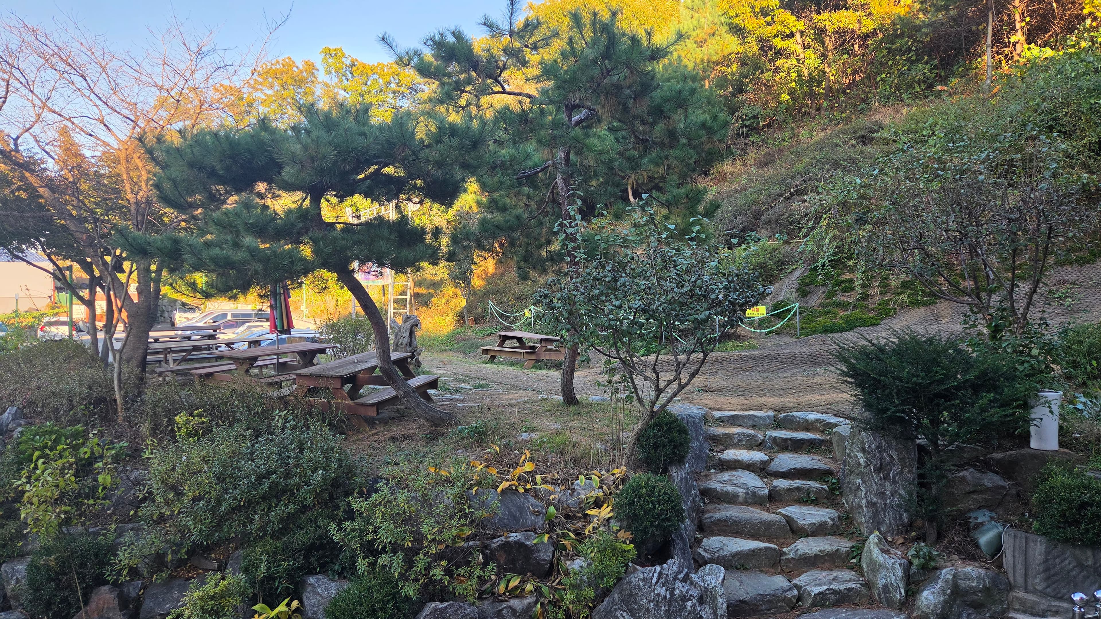 뒷동산 사진