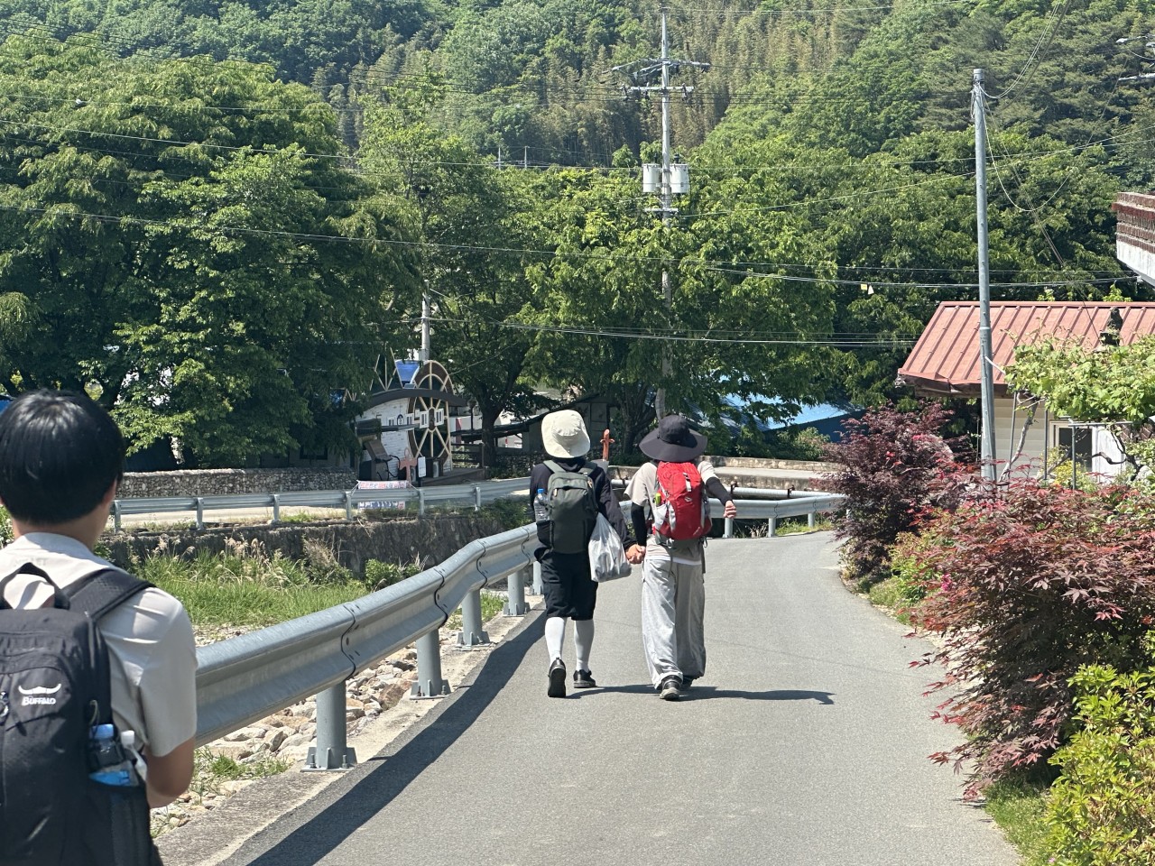 사용자가 올린 이미지