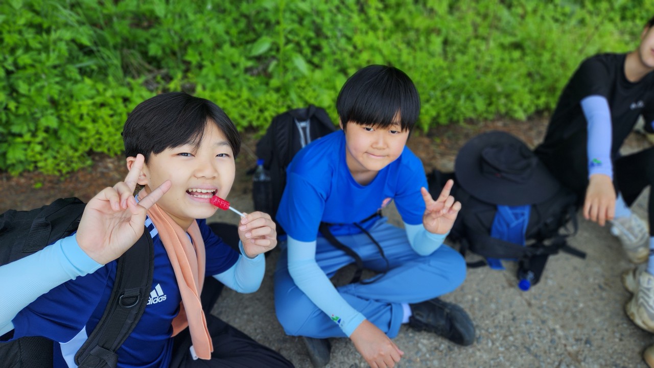 사용자가 올린 이미지