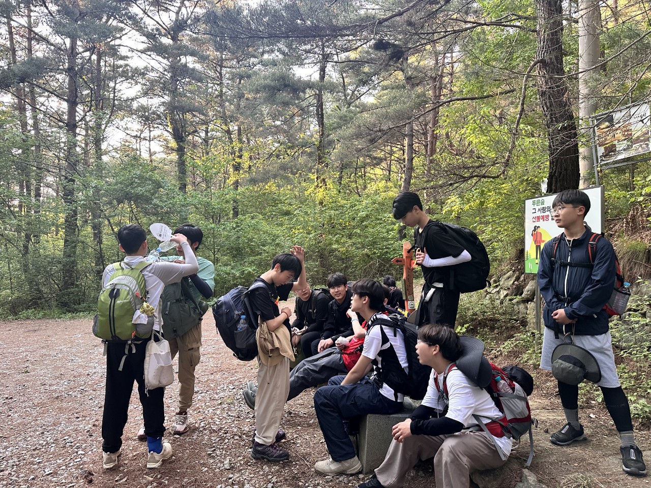 사용자가 올린 이미지