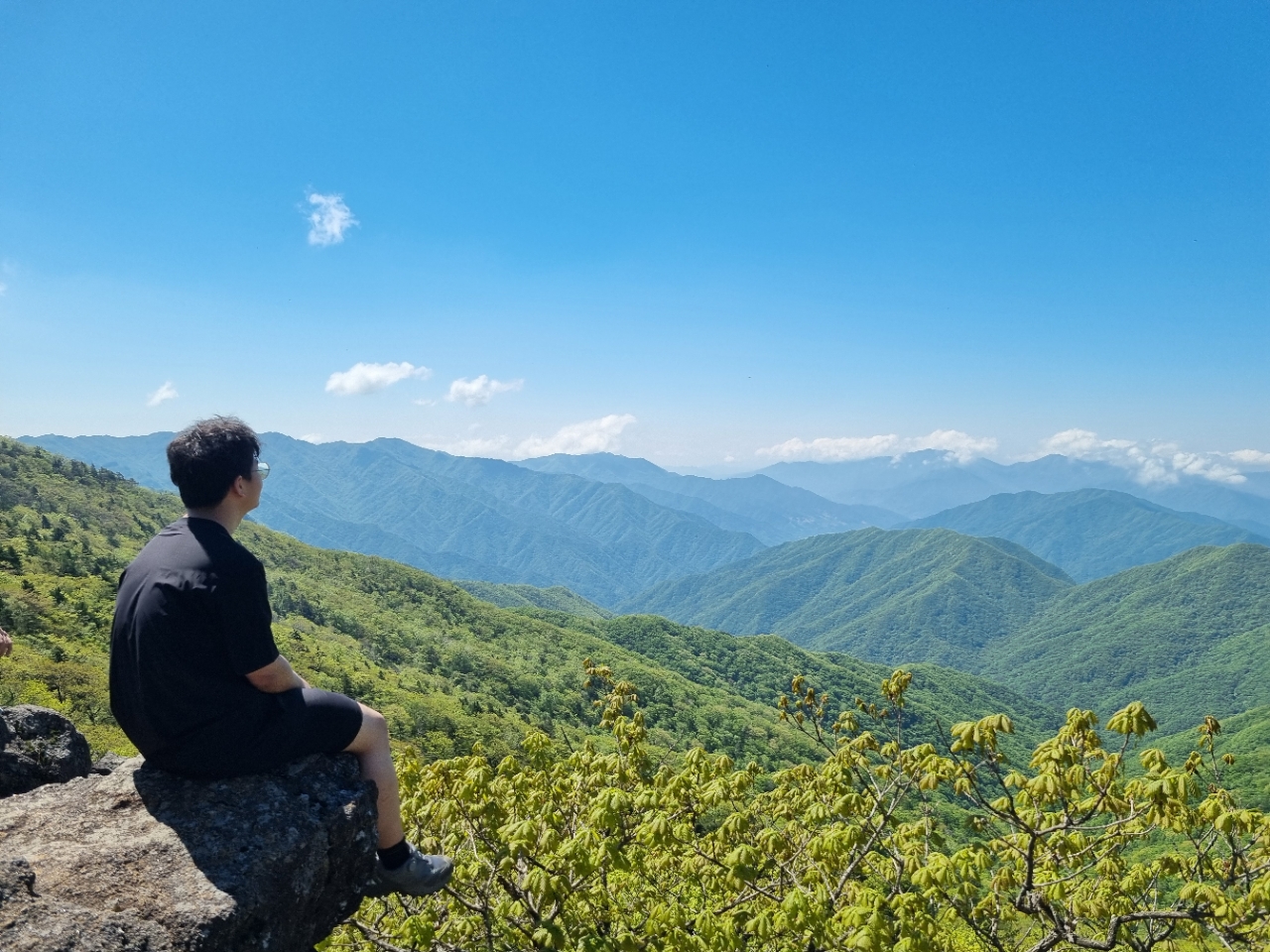 사용자가 올린 이미지