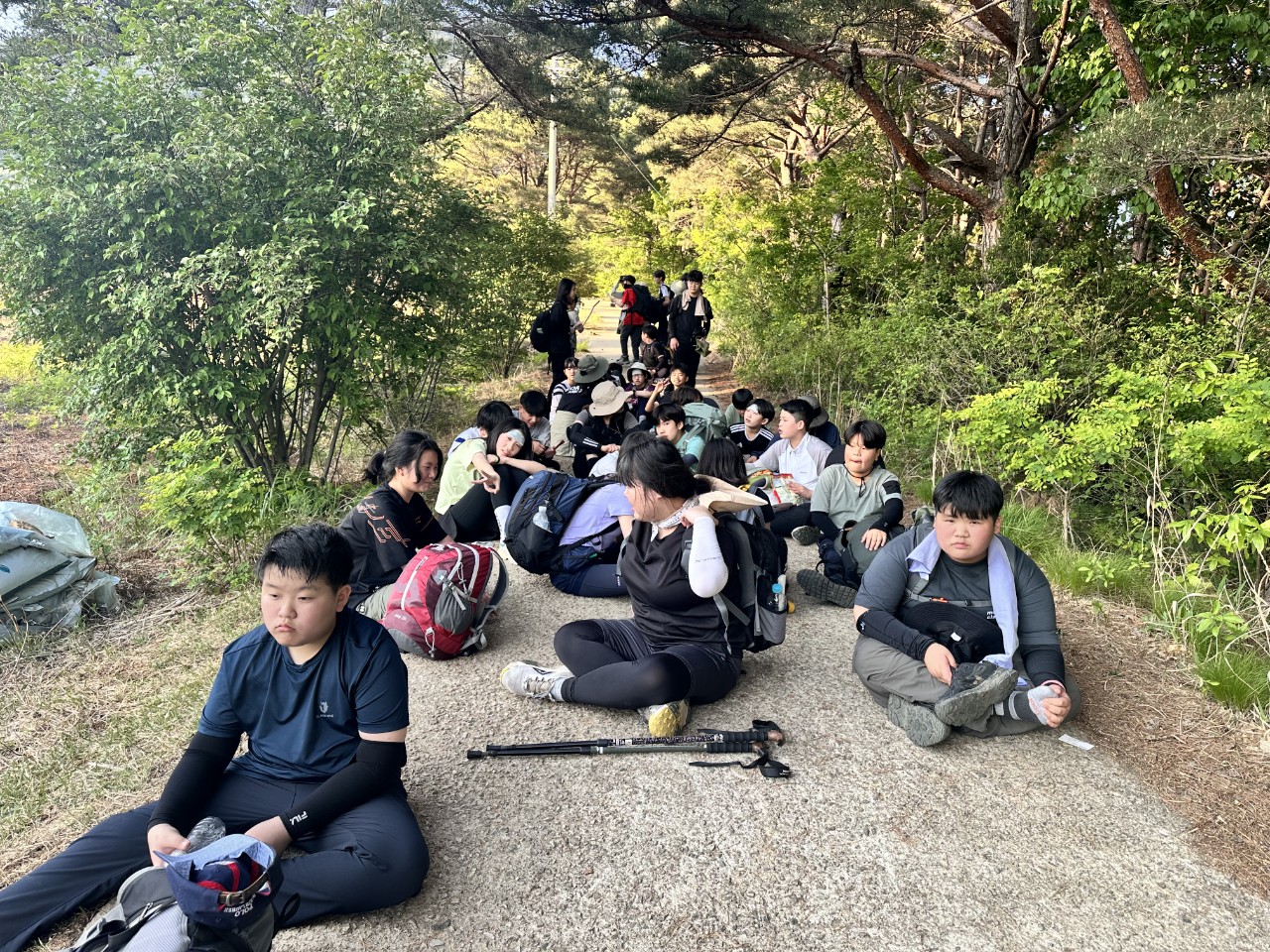 사용자가 올린 이미지