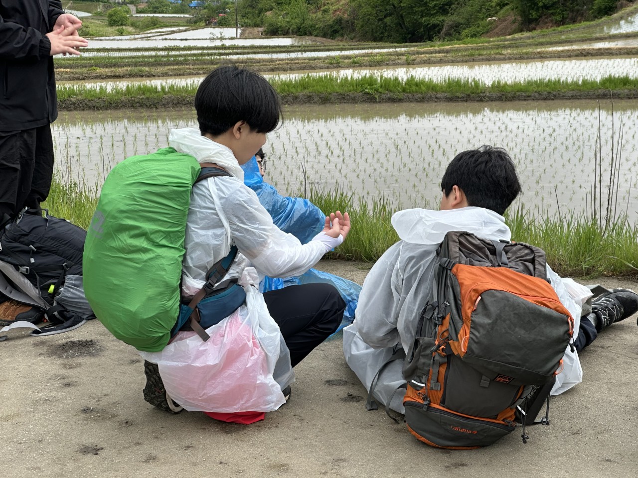 사용자가 올린 이미지